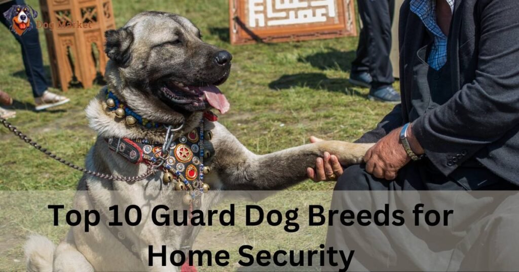 Top 10 Guard Dog Breeds for Home Security