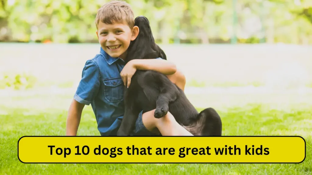 top 10 dogs that are great with kids